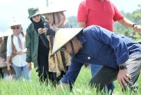 Wali Kota Ternate M. Tahid Soleman saat Mengunjungi Petani Unggulan Bank Indonesia di SP 6 Kabupaten Halmahera Timur. (Rakyatmu)