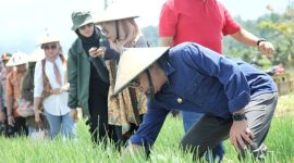 Wali Kota Ternate M. Tahid Soleman saat Mengunjungi Petani Unggulan Bank Indonesia di SP 6 Kabupaten Halmahera Timur. (Rakyatmu)