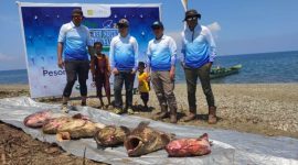Lomba Obi Fishing Tournament 2023 di Pantai Kawasi. (Humas for Rakyatmu)