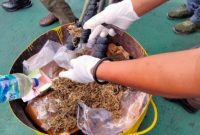 Barang Bukti yang Dimusnahkan di Halaman Kantor Kejari Ternate. (Rakyatmu)