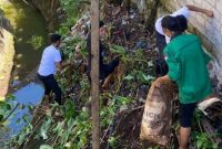 Mahasiswa KKSD UMMU Ternate Melakukan Bakti Sosial Membersihkan Sampah Sepanjang Kalibobo, Kelurahan Ngade (Saiful for Rakyatmu)