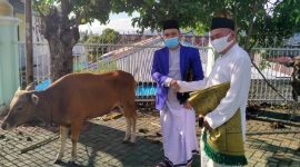 Kepala Dinas Perhubungan Kota Ternate Mochtar Hasim akan Menyalurkan 2 Ekor Sapi Kurban