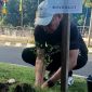Bupati Halmahera Utara Frans Manery Tanam Pohon di Kawasan Pemerintahan. (Rakyatmu)