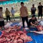 Sembih Hewan Kurban. (Istimewa/Rakyatmu)