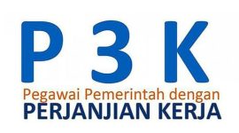 Pegawai Pemerintah dengan Perjanjian Kerja. (Istimewa)