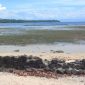 Kondisi Penyebrangan ke Tobelo saat Air Laut Surut. (Rakyatmu)
