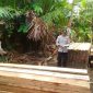 Kayu Berbagi Jenis Diamankan Polsek Gane Timur, Kabupaten Halmahera Selatan. (Asrul for Rakyatmu)
