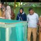 Bidang PPKL DLH Kota Ternate Membuat Kandang Budidaya Maggot. (Rakyatmu)