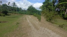 Lokasi Proyek Ruas Jalan Desa Kou - Kawata. (Rakyatmu)