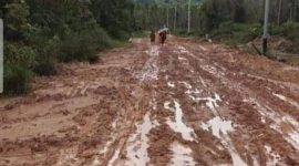 Pembangunan Jalan Rabat Beton Beringin -Nggele. (Sparta)