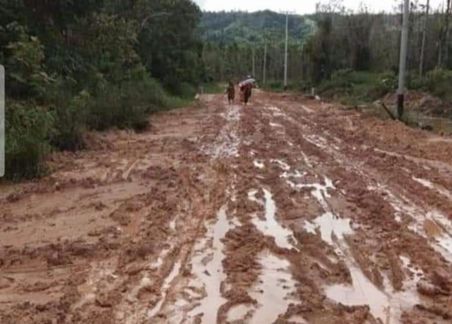 Pembangunan Jalan Rabat Beton Beringin -Nggele. (Sparta)