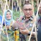 Wali Kota Ternate Panen Cabai Bersama Kelompok Bina Tani 2. (Ko Edo Huka)