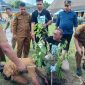 Tanam Pohon Secara Simbolis oleh Wali Kota Ternate M. Tauhid Soleman di depan Museum Rempah Benteng Oranje. (Rakyatmu)