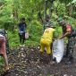 Personil TNI Bersama Masyarakat Bersihkan Pantai Tobololo, Kota Ternate, Jumat (5/1/2024). (Dok. Dandim 1501/Ternate/Rakyatmu)