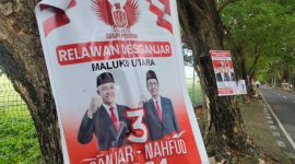 APK yang Dipaku di Pepohonan Kota Ternate. (Rakyatmu)