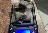 Polisi Tangkap Seorang Pemuda di Ternate Bersamaan Dengan Barang Bukti Berupa Ganja Kering Seberat 9,59 gram. (Dok. Humas Polres Tarnate/Rakyatmu)