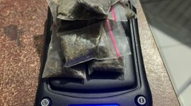 Polisi Tangkap Seorang Pemuda di Ternate Bersamaan Dengan Barang Bukti Berupa Ganja Kering Seberat 9,59 gram. (Dok. Humas Polres Tarnate/Rakyatmu)