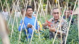 Petani di Kota Ternate Dapat Pelindungan BPJS Ketenagakerjaan. (Ilustrasi/Ko Edo)