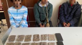 Tiga Pelaku Penyalahgunaan Narkoba Jenis Ganja yang Diamankan Ditresnarkoba Polda Maluku Utara. (Istime/Rakyatmu)