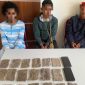 Tiga Pelaku Penyalahgunaan Narkoba Jenis Ganja yang Diamankan Ditresnarkoba Polda Maluku Utara. (Istime/Rakyatmu)