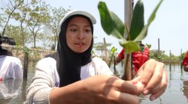 Aksi Menanam 5.000 Bibit Mangrove. (Alfiyah)