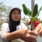 Aksi Menanam 5.000 Bibit Mangrove. (Alfiyah)