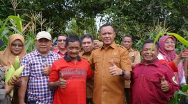 Wali Kota Tidore Kepulauan, Muhammad Sinen menghadiri kegiatan panen jagung di Kelurahan Dowora, Kecamatan Tidore Timur. (Istimewa)