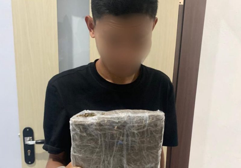 Mahasiswa di Kota Ternate, berinisial AU (23) diamankan polisi  atas kasus dugaan peredaran narkotika jenis ganja. (Rakyatmu)