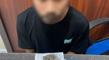 Pelaku Pemilik Narkotika jenis Ganja yang Diamankan Polisi. (rakyatmu) 