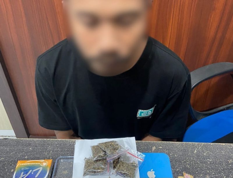 Pelaku Pemilik Narkotika jenis Ganja yang Diamankan Polisi. (rakyatmu) 