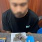 Pelaku Pemilik Narkotika jenis Ganja yang Diamankan Polisi. (rakyatmu) 