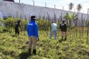 Warga Binaan Lapas Kelas IIB Sanana Mengikuti Pelatihan Menanam Tanaman Hortikultura. (Rakyatmu)