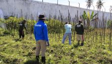 Warga Binaan Lapas Kelas IIB Sanana Mengikuti Pelatihan Menanam Tanaman Hortikultura. (Rakyatmu)