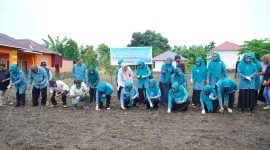 Dukung Ketahanan Pangan, TP-PKK Tidore bekerja dama dengan Dinas Pertanian gelar penanaman jagung dan sayur. (Istimewa)