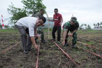 Kegiatan penanaman jagung serentak kuartal III di Desa Balbar, Kecamatan Oba Utara, Kota Tidore Kepulauan. (Istimewa)