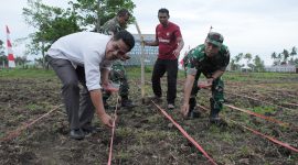 Kegiatan penanaman jagung serentak kuartal III di Desa Balbar, Kecamatan Oba Utara, Kota Tidore Kepulauan. (Istimewa)