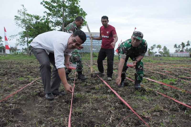 Kegiatan penanaman jagung serentak kuartal III di Desa Balbar, Kecamatan Oba Utara, Kota Tidore Kepulauan. (Istimewa)