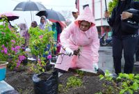 Dinas Lingkungan Hidup Kota Tidore Kepulauan bersama TP-PKK melakukan penghijauan di Tidore Kepulauan. (Istimewa)