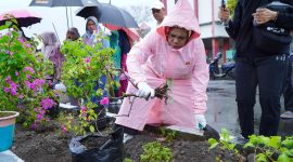 Dinas Lingkungan Hidup Kota Tidore Kepulauan bersama TP-PKK melakukan penghijauan di Tidore Kepulauan. (Istimewa)