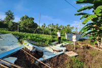 Anggota DPRD Kabupaten Pulau Taliabu, Suratman Bahrudin saat Memantau Pagar SD Inpres Minton yang Ambruk. (RakyatMu)