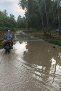 berita-rekomendasi-foto