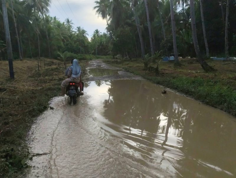 Kondisi Jalan Tanjung Una - Jorjoga, Pulau Taliabu. (RakyatMu)