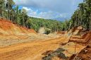 Hutan Halmahera yang Dikeruk Perusahaan Tambang Nikel. (Istimewa)