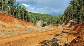 Hutan Halmahera yang Dikeruk Perusahaan Tambang Nikel. (Istimewa)