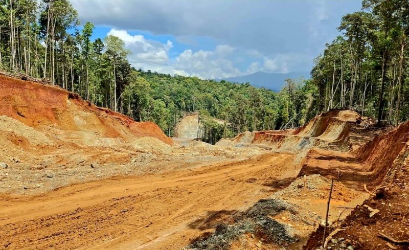 Hutan Halmahera yang Dikeruk Perusahaan Tambang Nikel. (Istimewa)