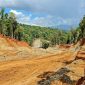 Hutan Halmahera yang Dikeruk Perusahaan Tambang Nikel. (Istimewa)