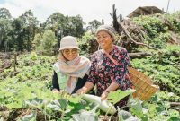 Hasil Kebun Kelompok Wanita Tani Binaan Harita Nickel (Dokumentasi: Istimewa)