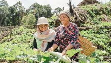Hasil Kebun Kelompok Wanita Tani Binaan Harita Nickel (Dokumentasi: Istimewa)