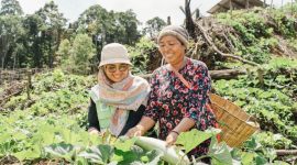 Hasil Kebun Kelompok Wanita Tani Binaan Harita Nickel (Dokumentasi: Istimewa)