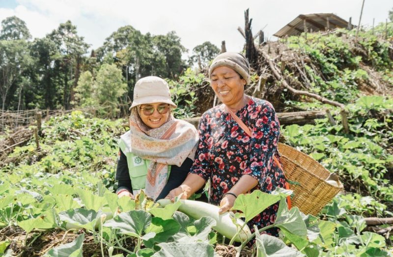 Hasil Kebun Kelompok Wanita Tani Binaan Harita Nickel (Dokumentasi: Istimewa)